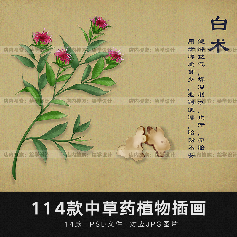 手绘中草药草本植物插画设计素材广告封面包装绘画背景印刷psd