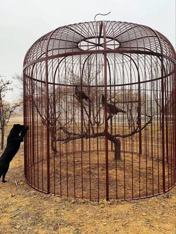 铁艺特大号加网鸟笼鹦鹉鸟笼户外超大巨型鸟笼装饰孔雀大型养鸟笼