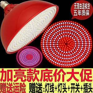 led生鲜灯猪肉灯照肉灯海鲜灯熟食灯水果灯吊灯超市灯蔬菜灯包邮猪肉灯
