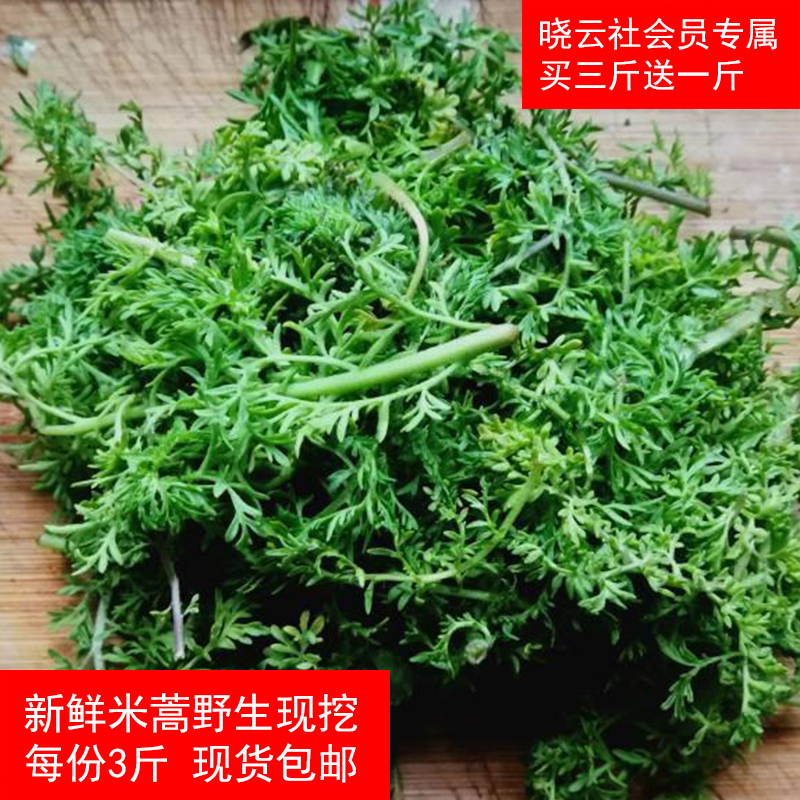 新鲜野生苦菜荠菜 米蒿 麦蒿 米米蒿 农村野菜 蒿子 包邮 三斤