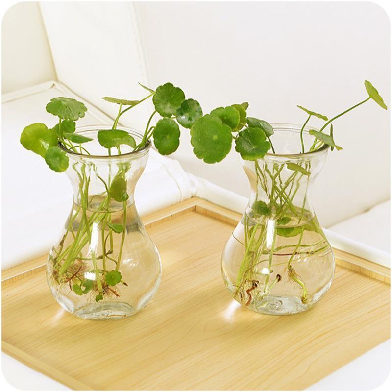 风信子水培植物花瓶创意水培容器透明玻璃瓶花盆瓶插养花植物器皿
