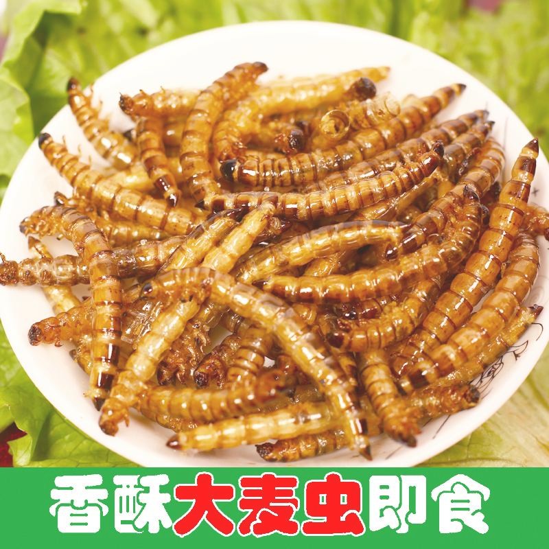 虫子美食 油炸即食高蛋白各种昆虫食用炸零食香辣大麦虫即食黄金