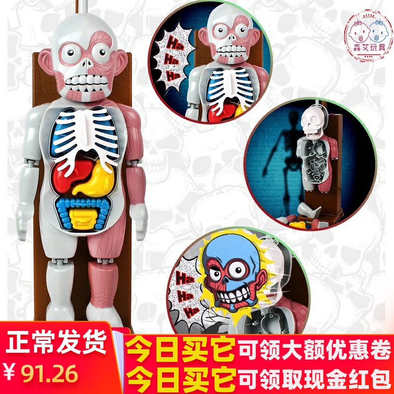 抖音同款人体模型拼装骷髅日本韩国器官解剖恐怖恶搞儿童整蛊玩具