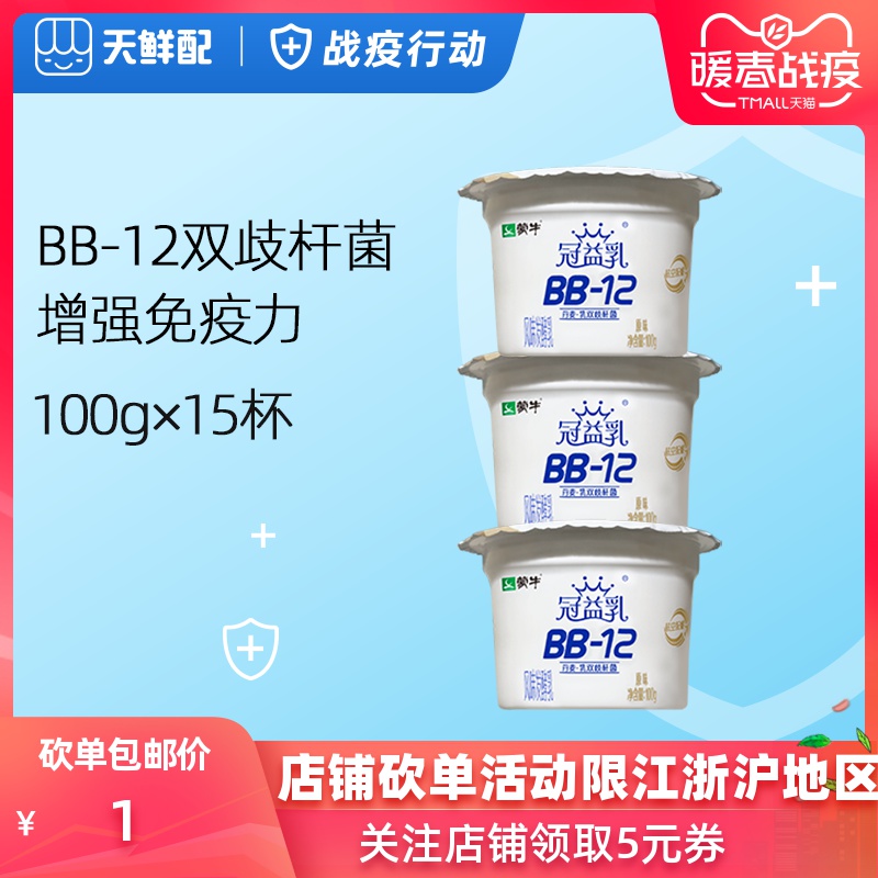 蒙牛冠益乳航空杯bb-12航空头等仓风味发酵酸奶100g×15杯