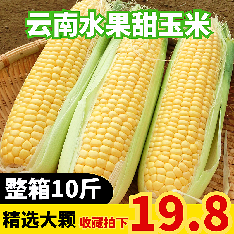 共1467 件云南玉米相关商品