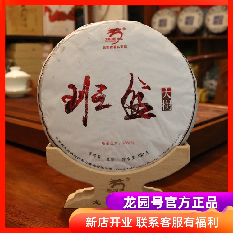 官方正品龙园号古山茶庄班盆普洱茶生茶饼茶 头春茶大树乔木茶