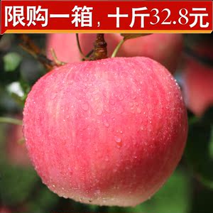 新鲜苹果水果10斤当季水果批发包邮大沙河低价一整箱苹果苹果新鲜