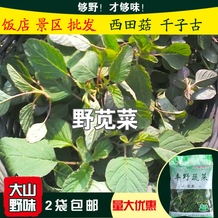 苋菜承德山野菜新鲜野生苋菜 西田菇千子古千菜谷凉拌炒做馅1000g