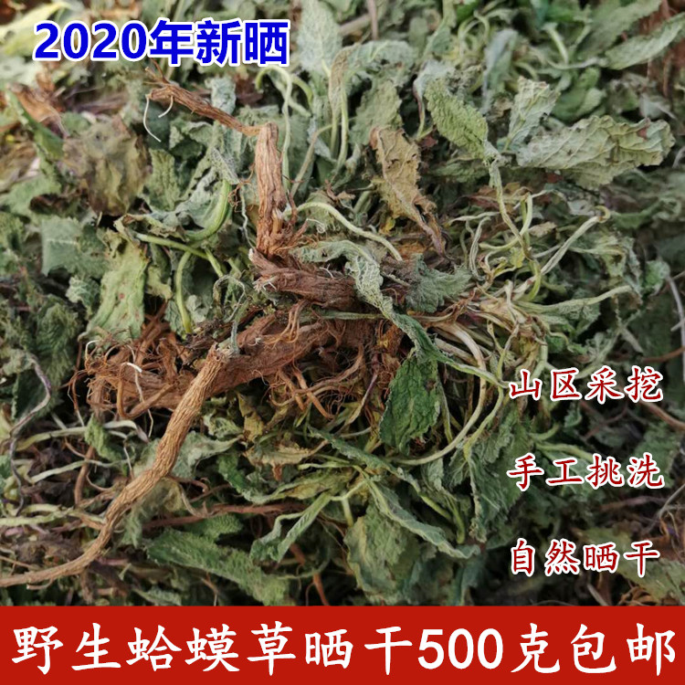 野生蛤蟆草干荔枝草雪见草干癞蛤蟆草带根500g包邮中药材