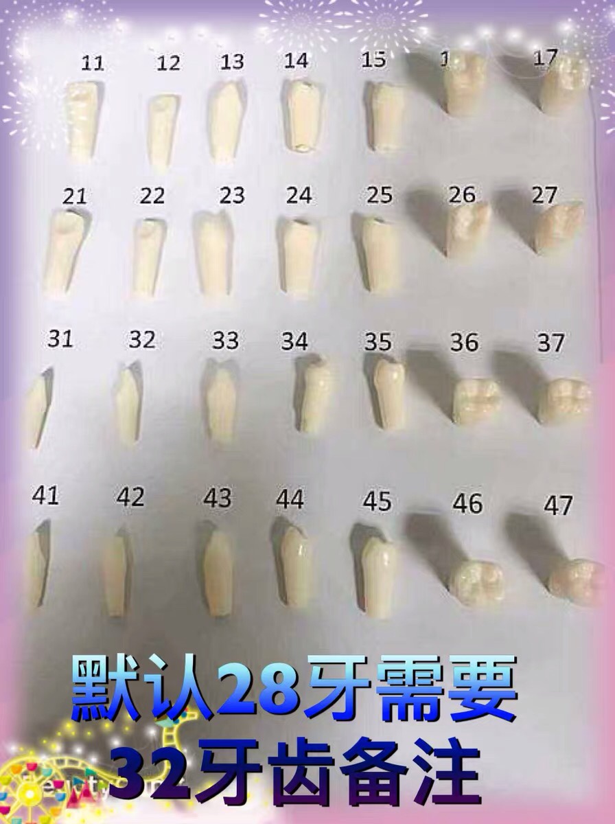 共177 件离体牙备牙相关商品