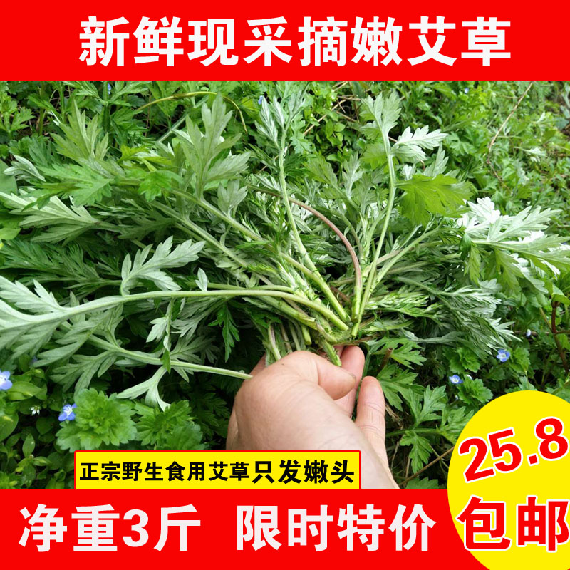 艾草新鲜食用艾叶干艾叶草贵州野生艾草叶 食用清明草青团3斤包邮