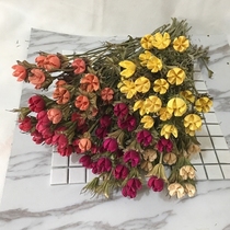 干花开口笑 家居装饰品干花摆件 花艺插花粘接干花花束 永生花