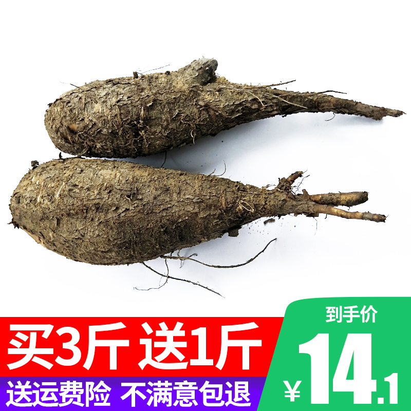 新鲜野生入地老鼠 钻地老鼠500g包邮白古首花头紫茉莉根煲汤膳料