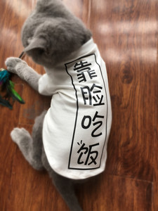 猫衣服夏装 薄款亲子装宠物猫咪服装纯棉汉字靠脸吃饭幼犬狗衣服宠物服装