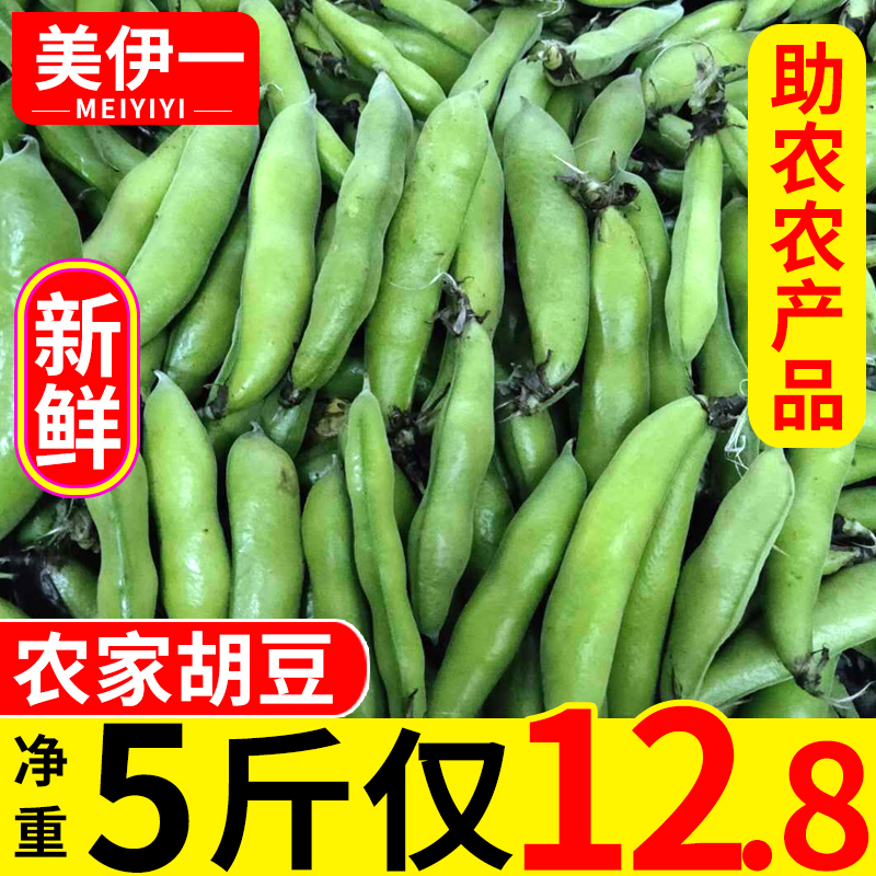 四川新鲜胡豆蚕豆5斤当季现摘农家嫩胡豆蔬菜带壳罗汉兰花倭豆荚