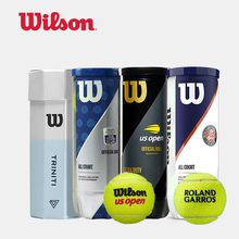 Уилсон Шанхай Мастерс Турнир Франция Теннис Профессиональный теннис Три мяча для начальной подготовки