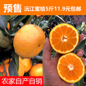 预售沅江蜜橘 新鲜桔子水果蜜桔柑橘非冰糖橙赣南脐橙丑桔橘子5斤蜜桔水果