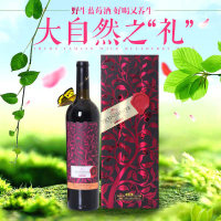 伊春蓝莓干红抗衰养生酒伊村山野野生蓝莓干红