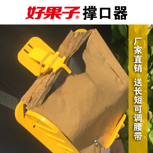 共602 件苹果纸袋套袋包邮相关商品