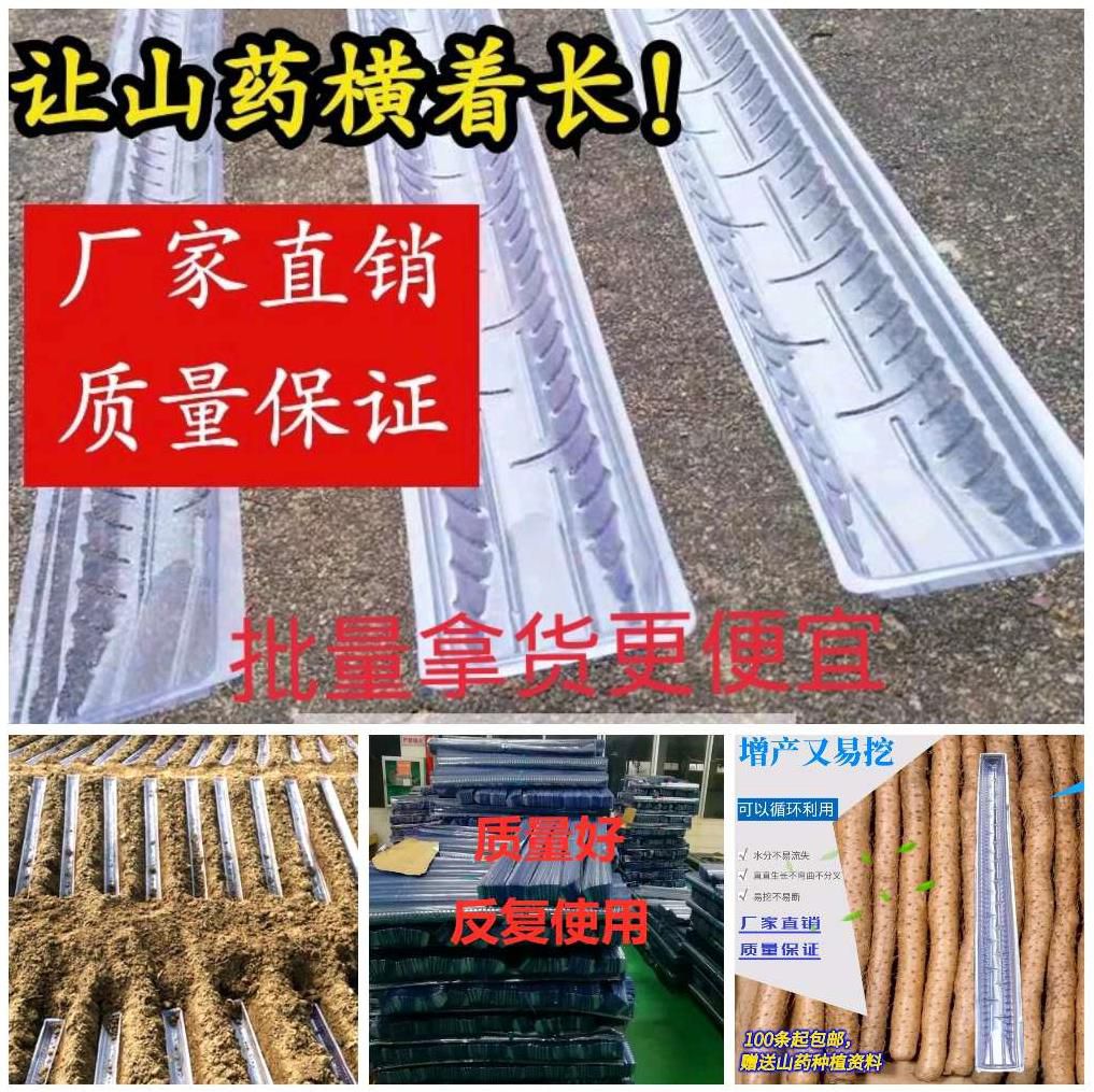 种山药的工具浅生水管u型槽育苗生长户外淮山塑料管引导室外种植