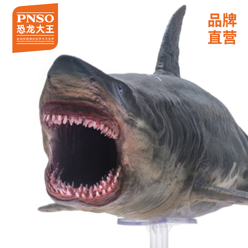 pnso恐龙大王 巨齿鲨 仿真动物模型玩具 海洋生物 鲨鱼 儿童男孩