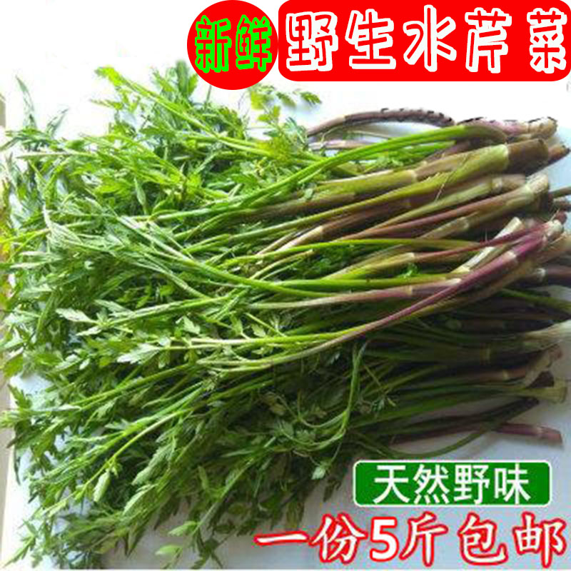 野生水芹菜小叶水芹菜农家自种新鲜蔬菜湖南特产水芹菜5斤装包邮