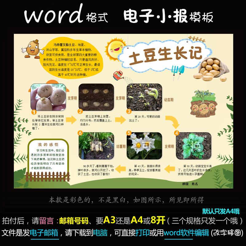 z109电子手抄报word模版学生观察植物成长简报土豆生长记小报