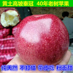 陕西秦冠苹果新鲜水果粉面甜超大苹果丑5斤包邮非红富士花牛苹果水果