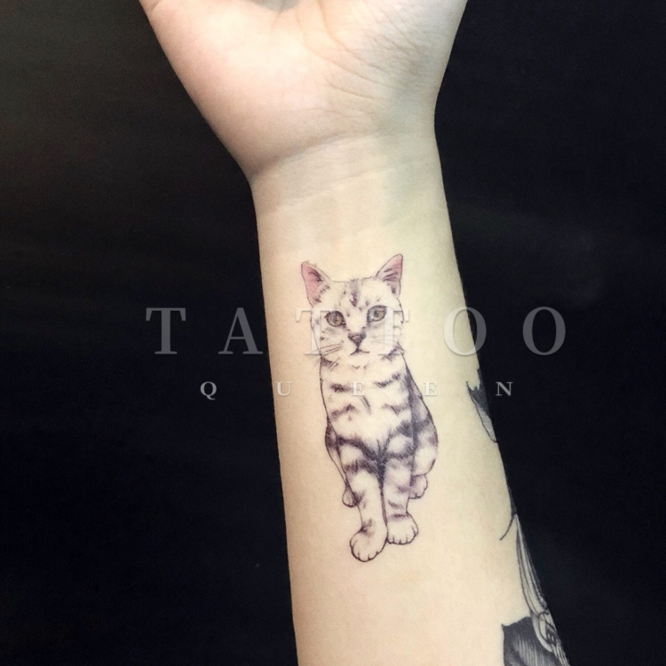 花臂少女tattoo x277 英短渐层猫咪可爱少女纹身贴 一张6个