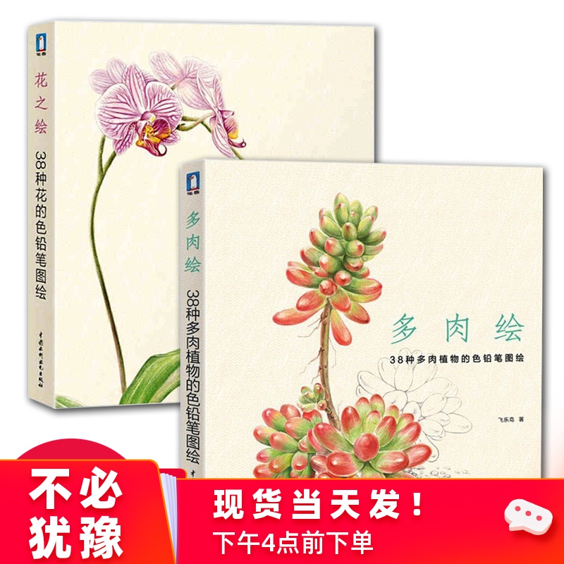 彩铅画教程书飞乐鸟 花之绘 多肉绘(套装2册)彩铅画入门零基础 绘画