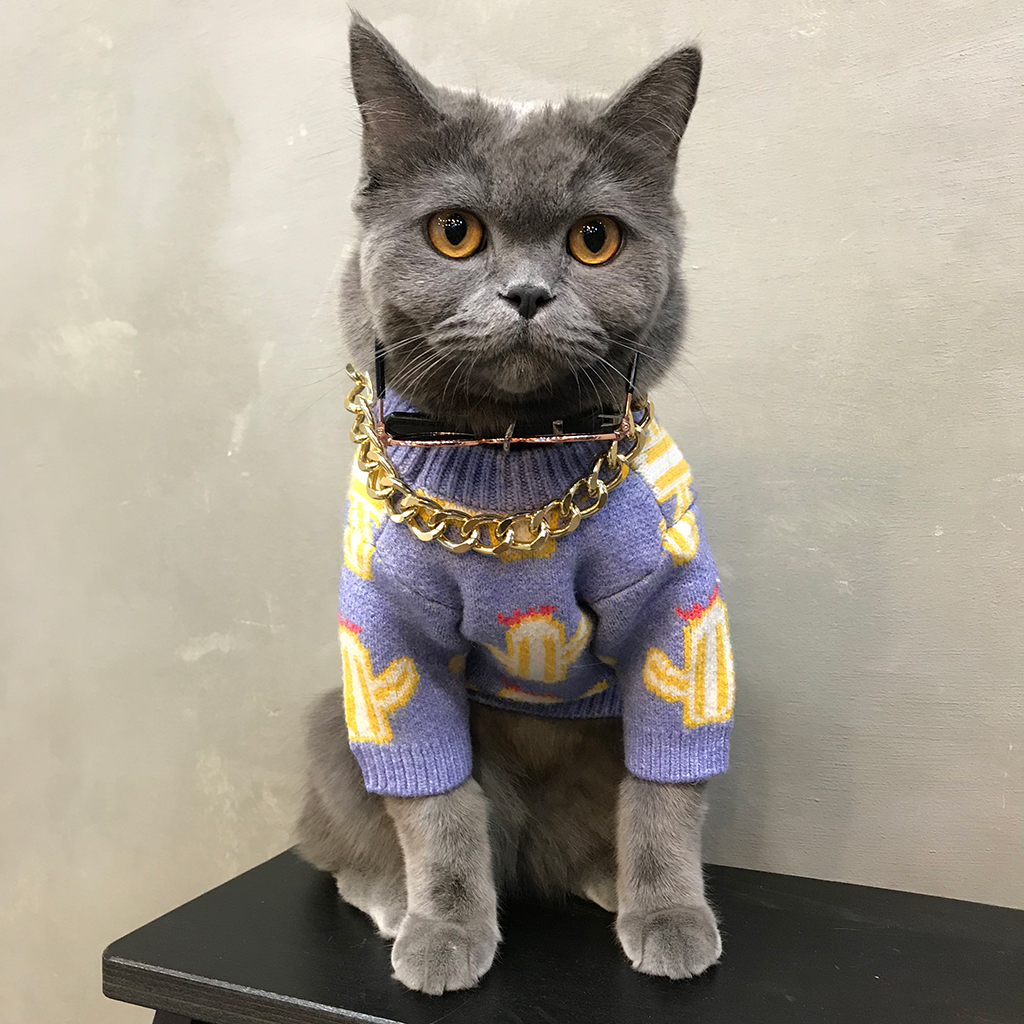 猫咪泰迪狗狗衣服抖音同款宠物猫秋冬猫猫毛衣可爱英短蓝猫潮牌