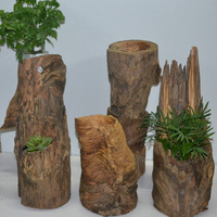 朽木花盆-栽 枯木朽木空气凤梨空凤多肉花盆树