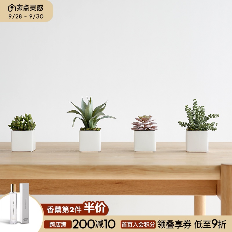 室内植物陶瓷花盆diy 室内植物陶瓷花盆种植 室内植物陶瓷花盆系统 购买 淘宝海外