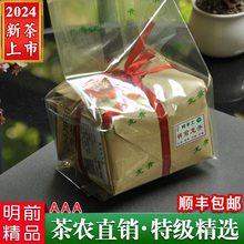 До завтрашнего дня специальный Ханчжоу Longjing 43 зеленый чай