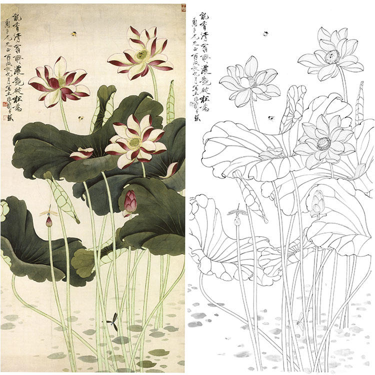 yf72于非暗白描底稿红荷蜻蜓工笔国画白描底稿勾线荷花打印