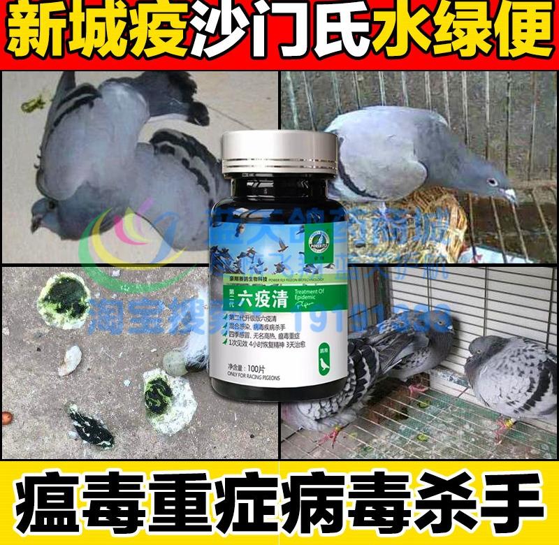 鸽子药大全 安全用药鸽药六疫清片沙门氏菌鸽瘟新城疫腺病毒水便