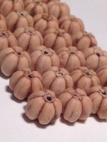 连体山楂核菩提手串今-楂籽 连体山楂核 手串专