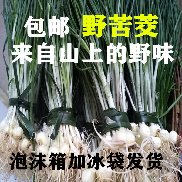 共256 件小根蒜新鲜相关商品