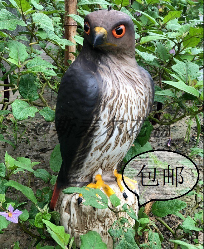 花园果园树饰品塑料仿真老鹰驱鸟吓鸟赶鸟神器园林摆件工艺品包邮