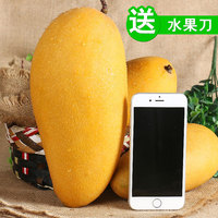 生吃芒果-孕妇最爱吃五斤包邮新鲜芒果 生吃芒