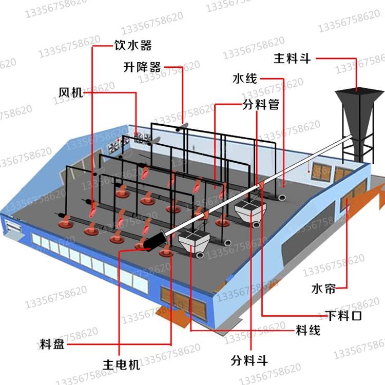 养鸡场鸡舍自动饮水器鸡用喂料机水线料线投料机家禽设备bkxm