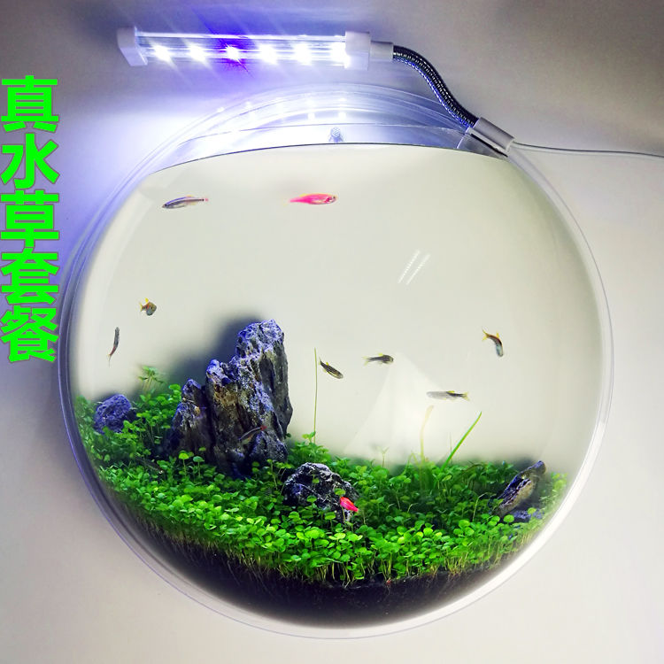 创意水族箱亚克力壁挂式鱼缸迷你小型造景水族缸水培植物小金鱼缸