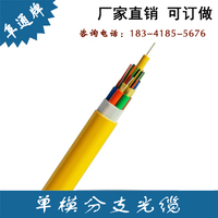 GJBFJV\/GJBFJH-12B1.3\/室内12芯单模分支光