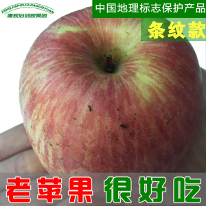 烟台苹果新鲜水果冰糖心栖霞红富士80mm胜昭通丑苹果脆甜10斤包邮苹果水果