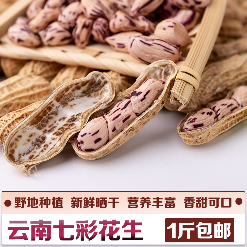 共104 件紫皮花生带壳相关商品