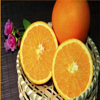 正宗麻阳橙子新鲜水果纯天然现摘现发冰糖橙p