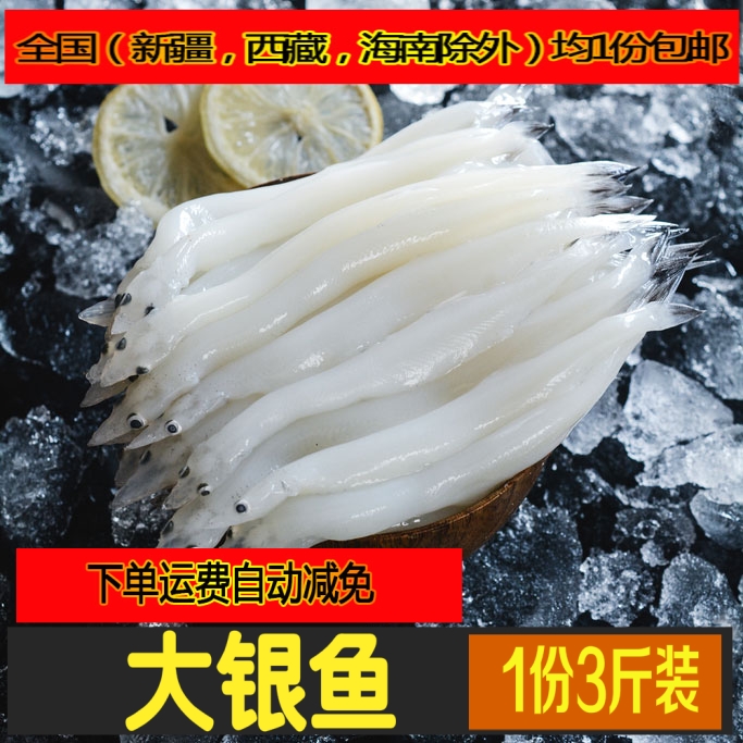 1份3斤包邮新鲜速冻小银鱼面条鱼大银鱼白饭鱼宝宝辅食天然钙库