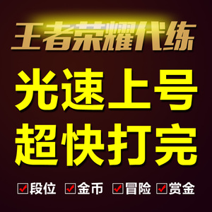 王者荣耀代练排位手工带打英雄段位白金钻石王者上星苹果安卓IOS王者荣耀代练