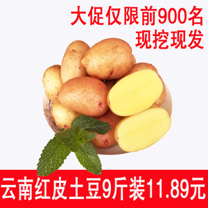 云南特产红皮土豆9斤装 土豆洋芋土豆新鲜土豆农家自种马铃薯土豆新鲜