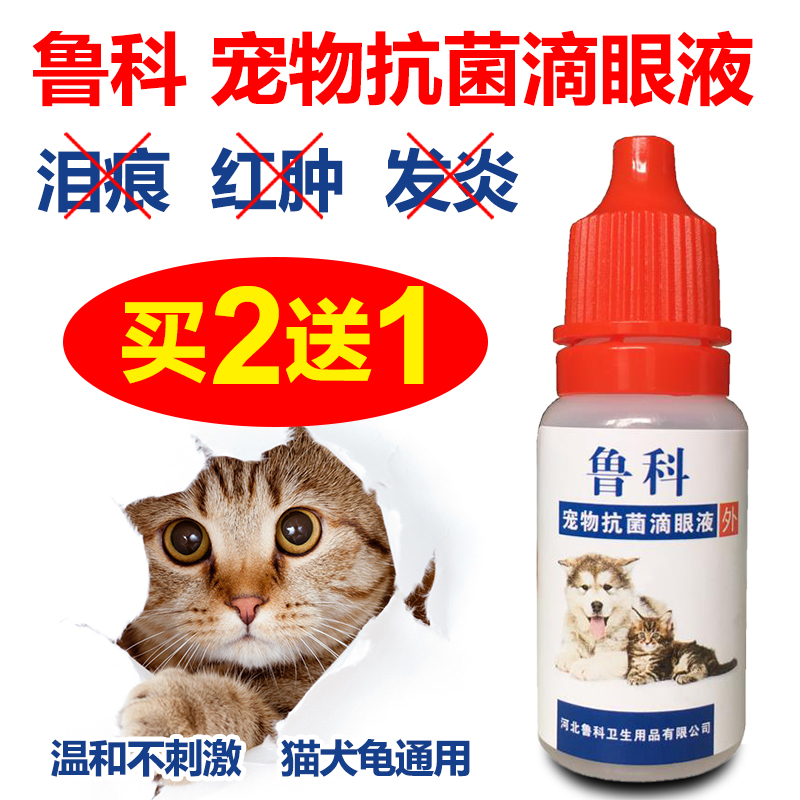 乌龟狗狗猫咪眼药水 宠物滴眼液 抗菌消炎去泪痕神器氯霉素滴眼液